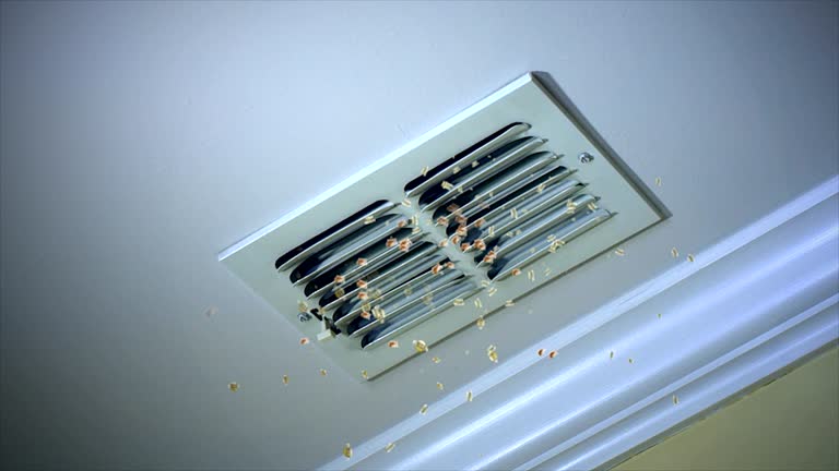 Best Affordable HVAC Duct Cleaning  in Willards, MD