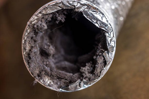 Best Affordable Duct Cleaning Services  in Willards, MD