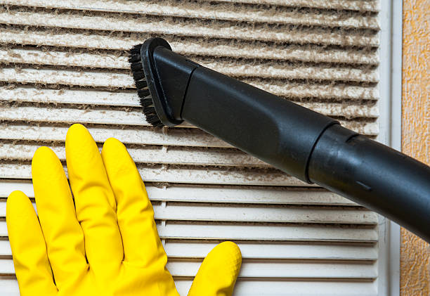 Best Local Air Duct Cleaning Services  in Willards, MD